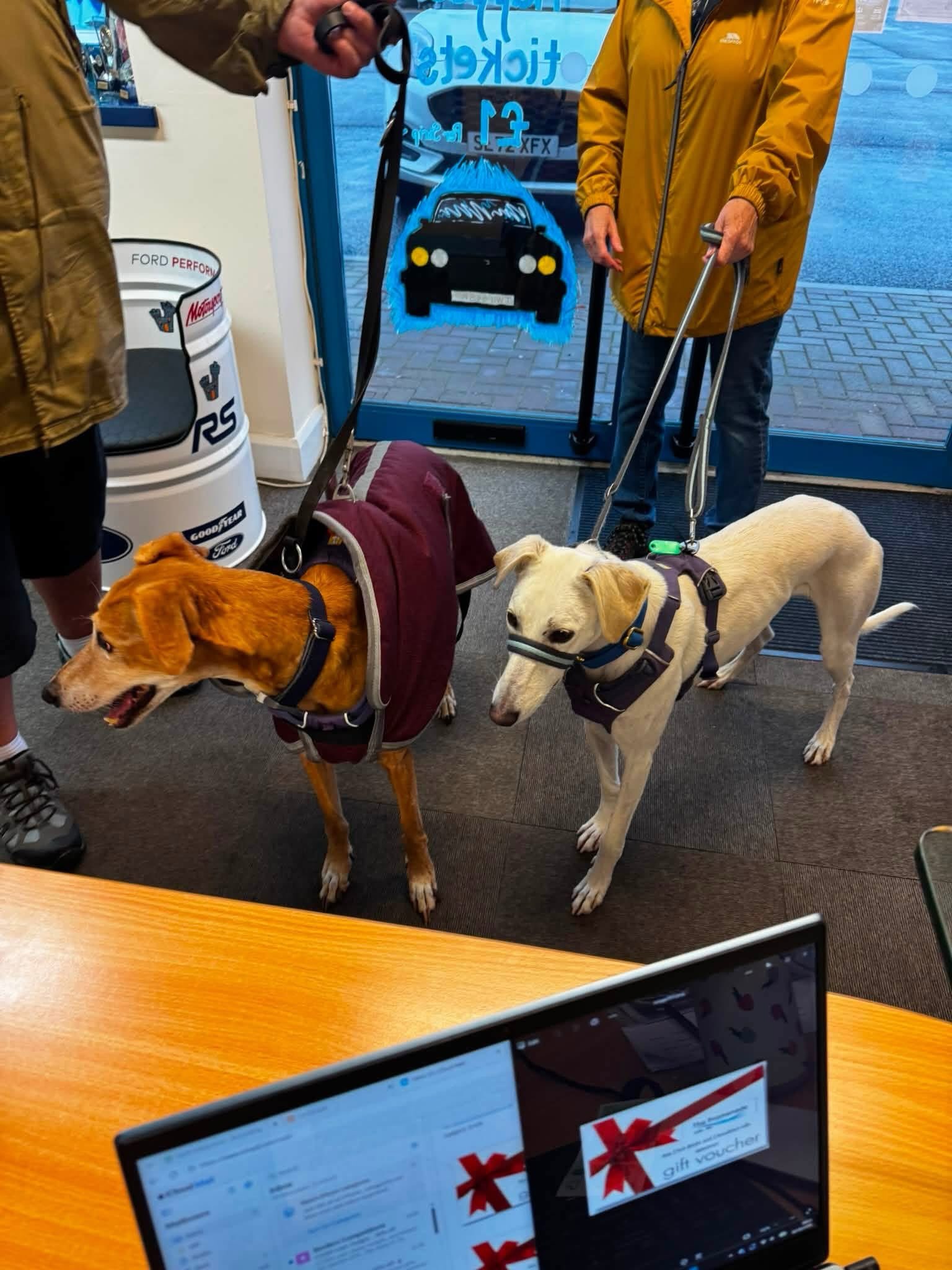 Two rescue dogs on leads in the Ramparts reception